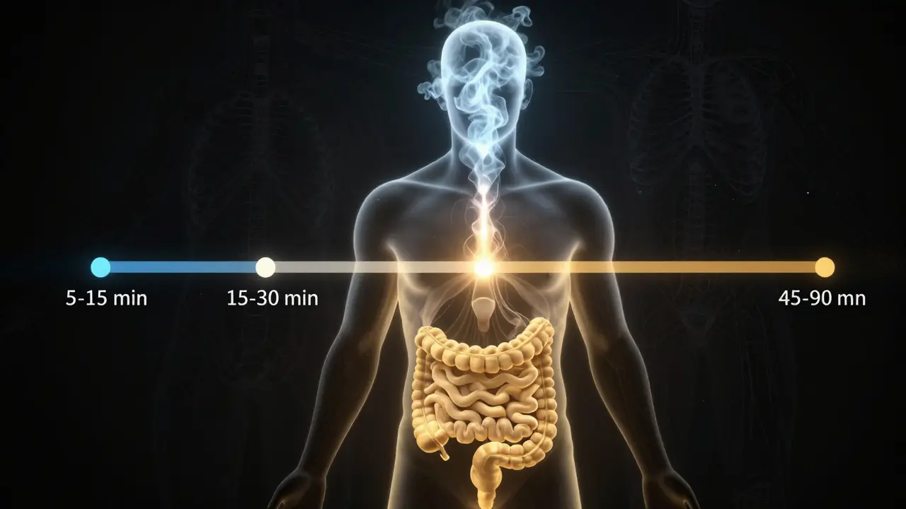 Koncepční obrázek ukazující tři různé cesty vstřebávání CBD v těle s časovými škálami.