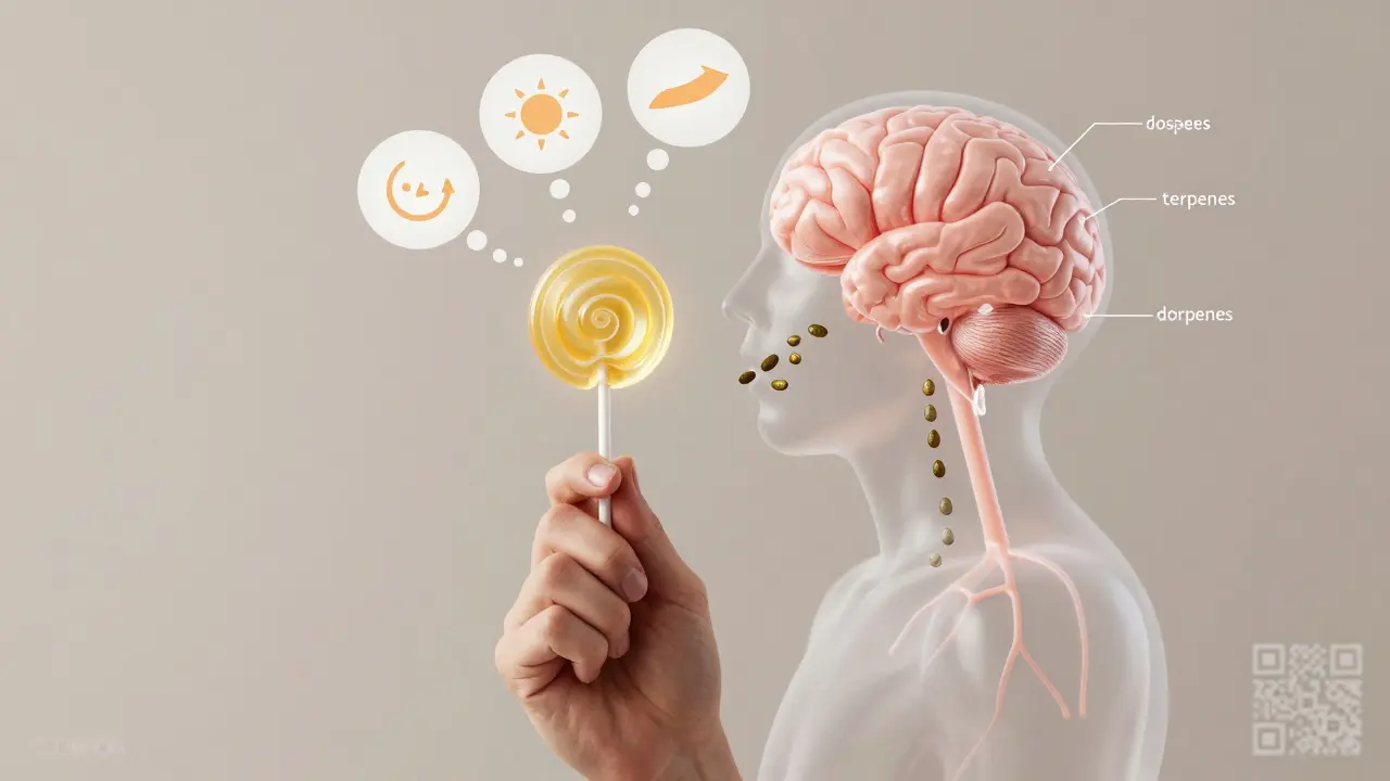 Průhledná ruka držící lolly, s vnitřními cestami kanabinoidů a symboly účinků, spojenými s terpeny a dávkami.