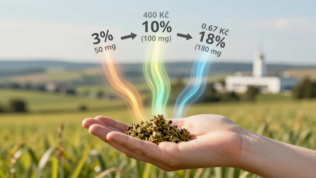 Ruka drží CBD květy s přehledem tří různých koncentrací CBD jako průhledné světelné proužky.