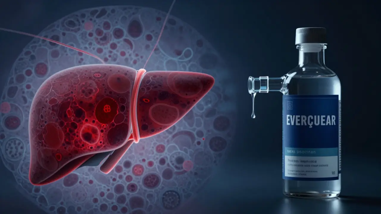 Srovnání poškozené játry a prázdné láhve Everclearu v medicínském stylu.