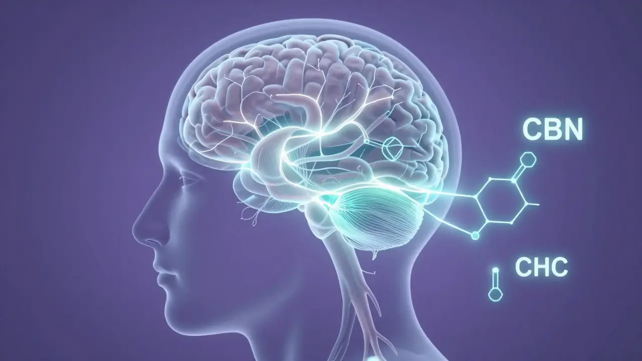 Abstraktní ilustrace interakce kanabinoidů s neuronovou sítí v mozku