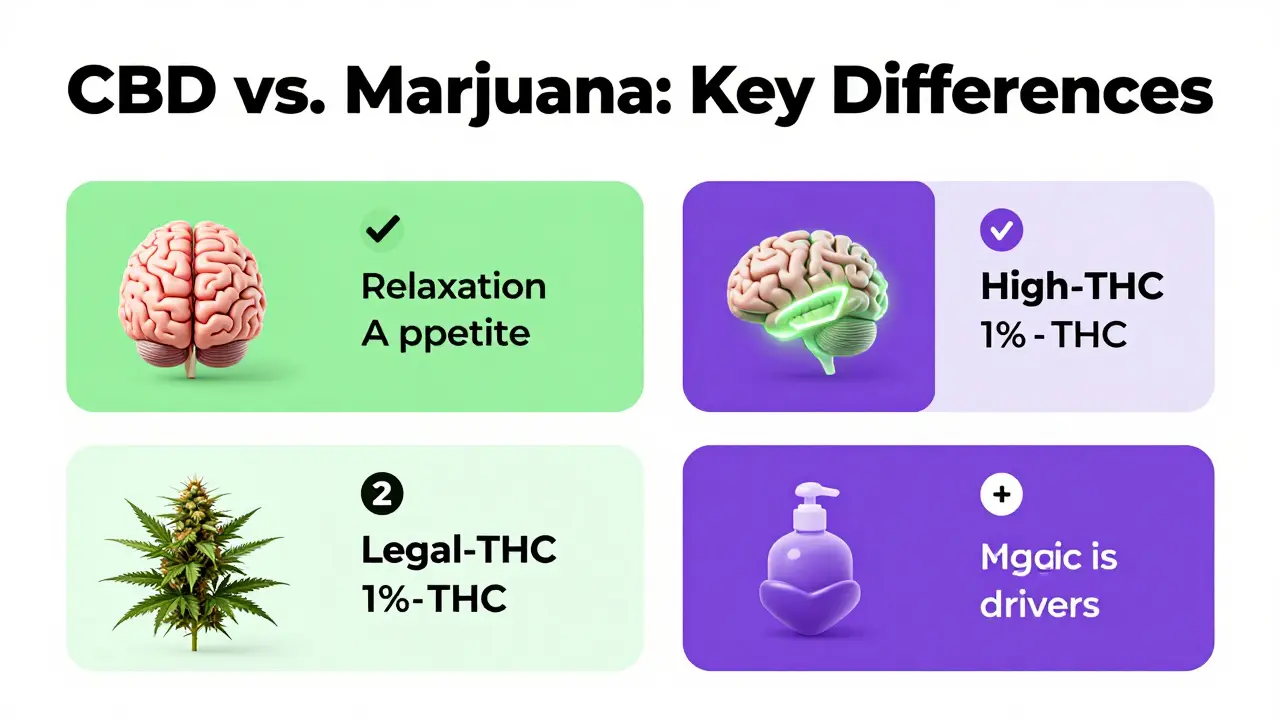 CBD vs. Marijuana: Rozdíl v účincích, THC a zákoně (2026)