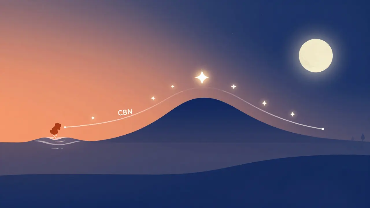 Konceptuální ilustrace časové osy účinku CBN od trávení po hluboký spánek.