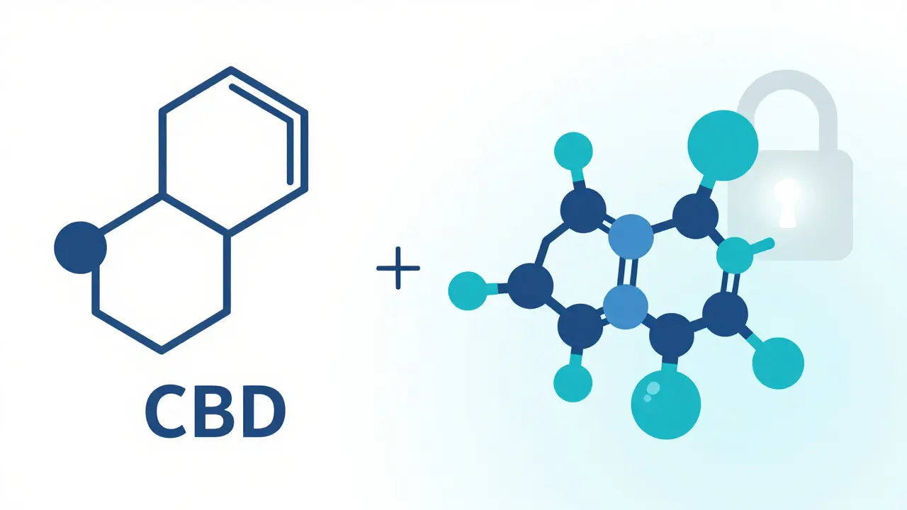Schéma ukazující silnější vazbu molekuly H4CBD na receptory oproti CBD